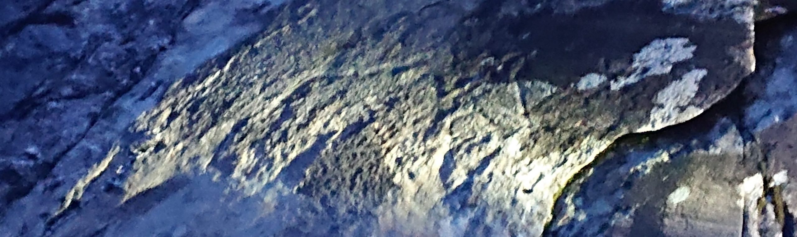 Bølareinen og helleristningene