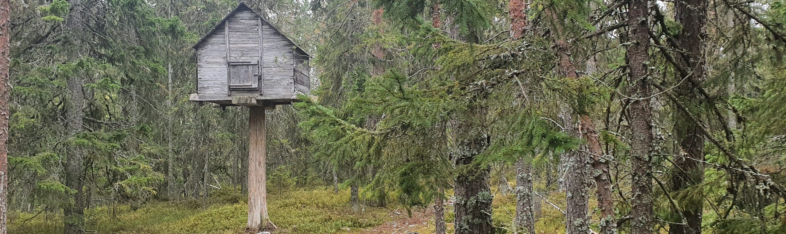 Västernorrlands museum, Murberget