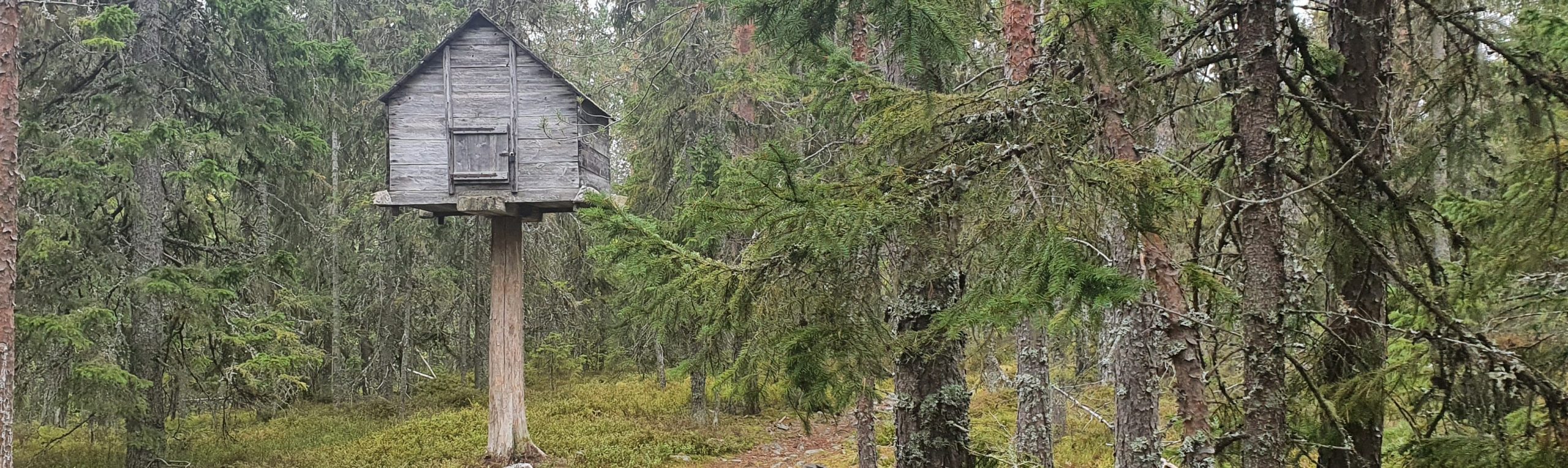 Västernorrlands museum, Murberget